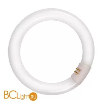 Лампа Lucide T8 22W 2700K 980Lm 50300/22/31