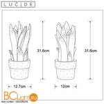 Настольная лампа Lucide Sansevieria 13522/01/33 - Схема