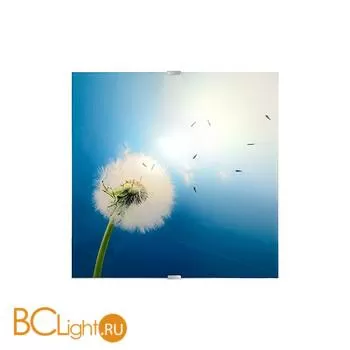 Настенный светильник Lucide Blowball 18202/01/99