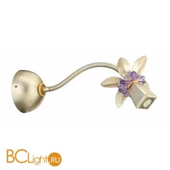 Бра Lucienne Monique Garden of Eden K 27