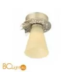 Потолочный светильник Lucienne Monique Gems Y 38