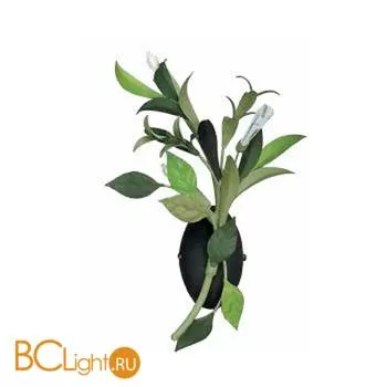 Бра Lucienne Monique Provincial Holidays AX 30