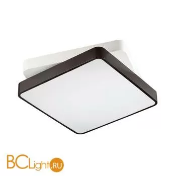 Потолочный светильник Lumion Agatha 4511/72CL