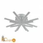 Потолочный светильник Lumion ALBERTA new 8029/65CL