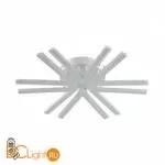 Потолочный светильник Lumion ALBERTA new 8029/60CL