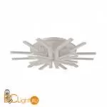 Потолочный светильник Lumion ALBERTA new 8029/95CL