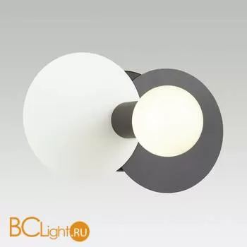 Настенный светильник Lumion Aloy 3783/1W
