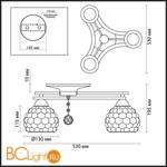 Потолочная люстра Lumion Ampolla 3081/3C - Схема