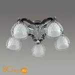 Потолочная люстра Lumion Ampolla 3081/5C
