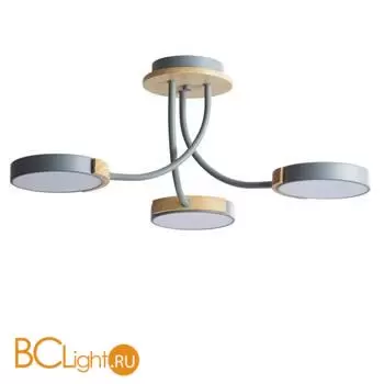 Люстра Lumion ARLEY 5655/54CL