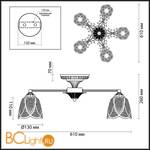 Потолочная люстра Lumion Barbara 3120/5C - Схема