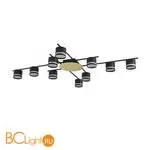 Потолочный светильник Lumion BENUA 8304/10C