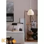 Подвесной светильник Lumion CANESTRA 8350/1B - Фото 0