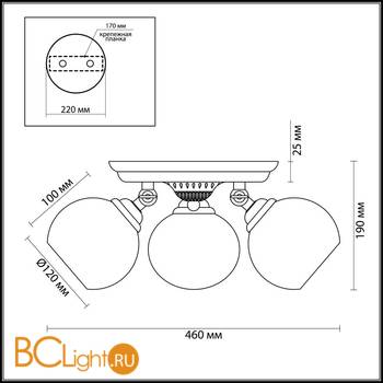Потолочный светильник Lumion Clodina 3100/3CA - Схема