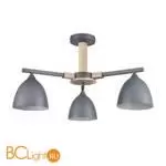 Люстра Lumion COLANGE new 8096/3C