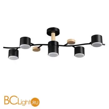 Потолочный светильник Lumion CRYPTO 8194/5C