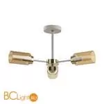 Люстра Lumion DALLIN 5639/3C