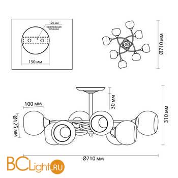 Люстра Lumion Daniella 4537/8C - Схема