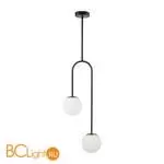 Потолочный светильник Lumion DEXTER 6500/2C