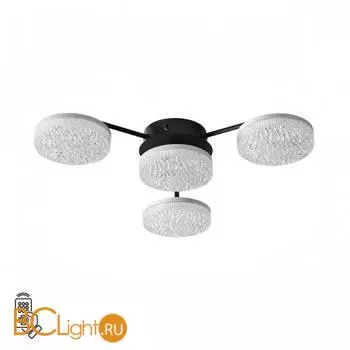 Потолочный светильник Lumion DIDANA new 8236/4CL