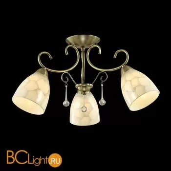 Потолочная люстра Lumion Eleconca 3511/3C - Фото 0