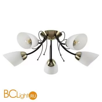 Люстра Lumion ELIANA 4592/5C