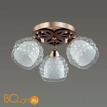 Потолочный светильник Lumion Federro 3057/3C