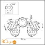 Потолочная люстра Lumion Federro 3058/5C - Схема