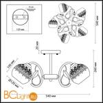Потолочная люстра Lumion Felissa 3067/5C - Схема