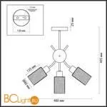 Люстра Lumion Fern 4492/3C - Фото 1