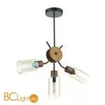 Люстра Lumion Fern 4492/3C