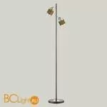 Торшер Lumion Filla 3030/2F