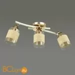 Потолочный светильник Lumion Filla 3029/3CA
