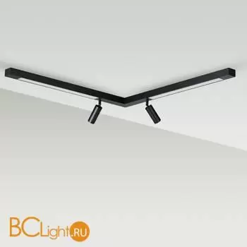 Потолочный светильник Lumion HAWK 5690/19CL