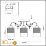 Потолочная люстра Lumion Imani 3263/3C - Схема