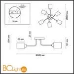 Люстра Lumion Jerry 4529/6C - Фото 2