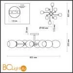 Люстра Lumion Jolene 4546/8C - Фото 1