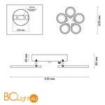 Потолочный светильник Lumion Kaori 4522/99CL - Схема