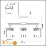 Потолочная люстра Lumion Kayden 3665/3C - Схема