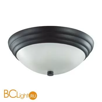 Потолочный светильник Lumion KAYLA 5263/2C