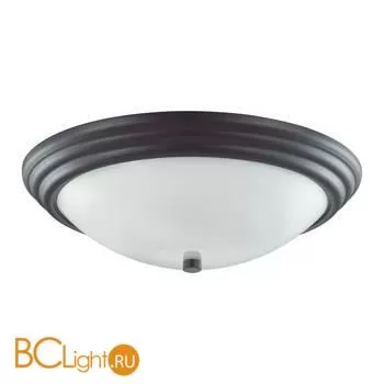 Потолочный светильник Lumion KAYLA 5263/3C