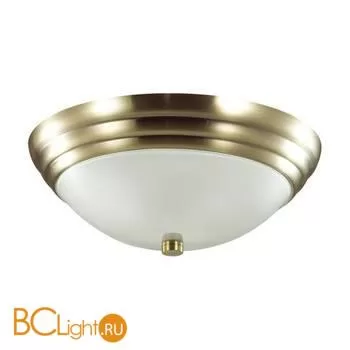 Потолочный светильник Lumion KAYLA 5262/2C