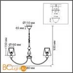 Люстра Lumion KENTUKI 8283/8 - Фото 1