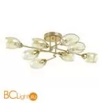 Люстра Lumion Lacie 4536/8C