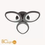 Потолочный светильник Lumion Lulu 4575/60CL - Фото 0