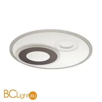 Потолочный светильник Lumion Milly 4501/85CL