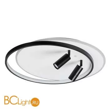 Потолочный светильник Lumion Naoko 5603/75CL