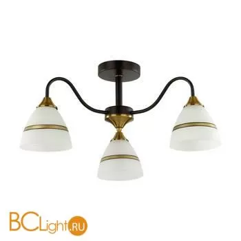Люстра Lumion NETTIE 5214/3C