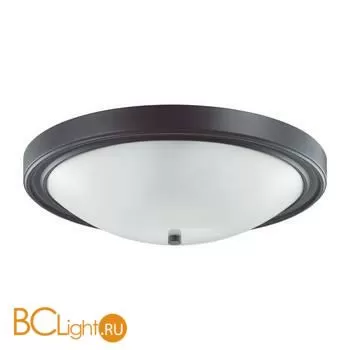 Потолочный светильник Lumion NINA 5260/4C