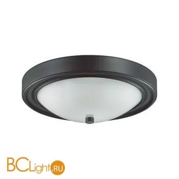 Потолочный светильник Lumion NINA 5260/2C